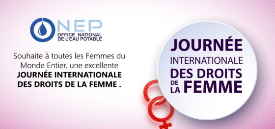 JOURNEE INTERNATIONALE DES DROITS DES FEMMES